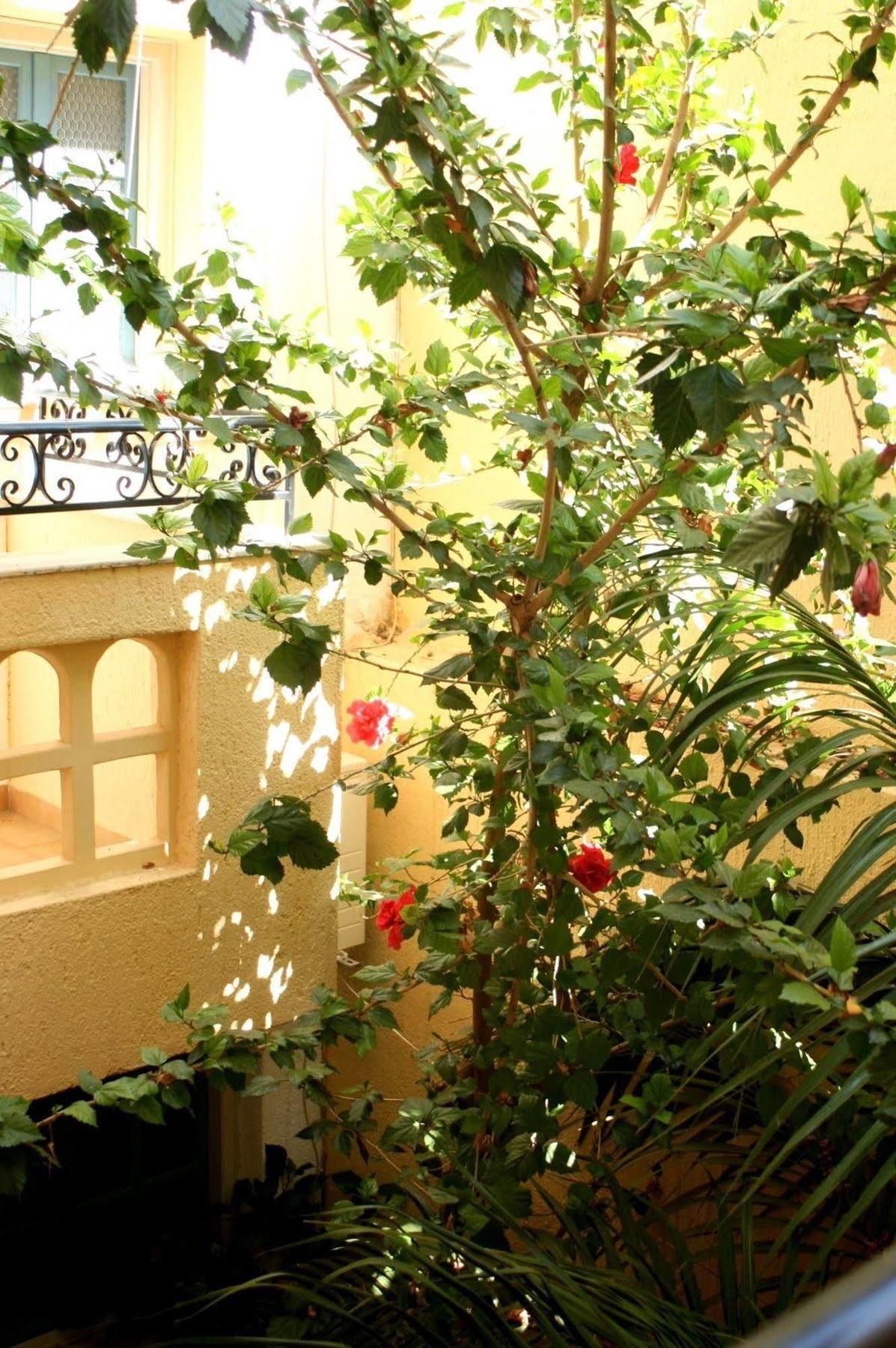 Orion Apartments Malia  Luaran gambar